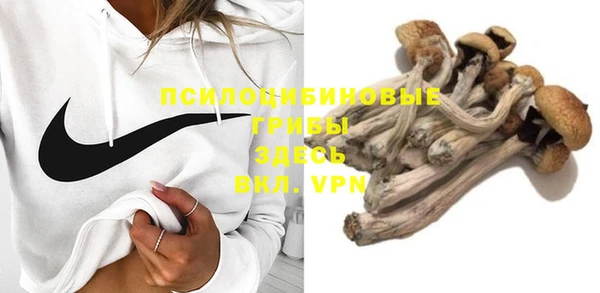гашик Лихославль