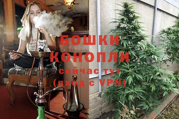 apvp Янаул