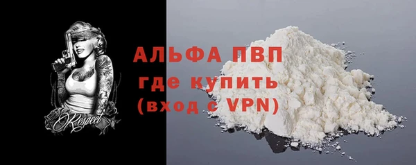 шишки Верея