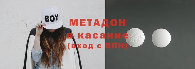 шишки Верея
