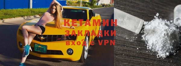 шишки Верея